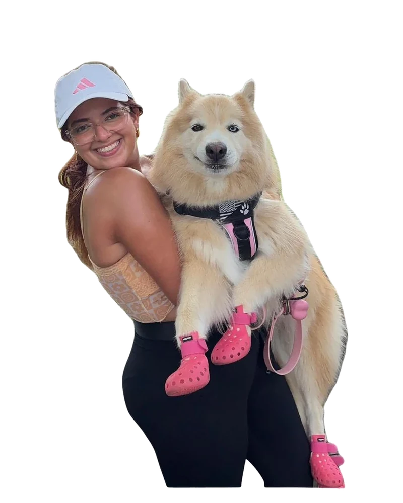 Katherine V. Duarte, pet sitter en Dorado
