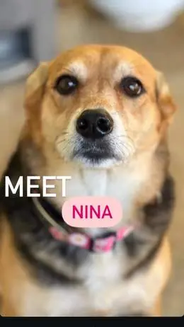 Nina